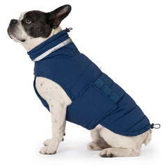 Mklhgty waterproof dog coat blue side view protects against rain and wind during walks