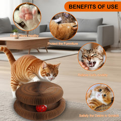 MoeQOassis infinity-style cat scratcher morphing shapes for varied play.