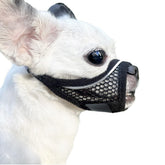 MoiiLavin dog muzzle in soft mesh for small dogs, ideal during grooming sessions