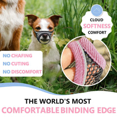 MoiiLavin muzzle with reflective straps for safe nighttime walks.