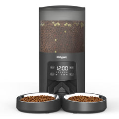 Molypet automatic feeder with double bowls ready for two-cat feeding, balanced portions.