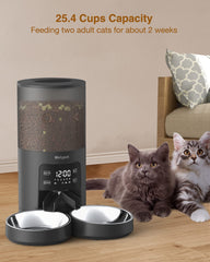 Molypet timed feeder set for daily schedule and multiple meals.