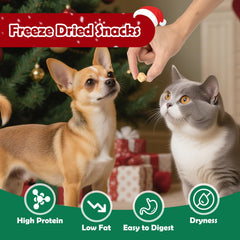 MON2SUN duck breast freeze-dried treat close-up, pure single-ingredient snack.