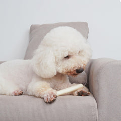 MON2SUN puppy treats in natural color signaling safe ingredients