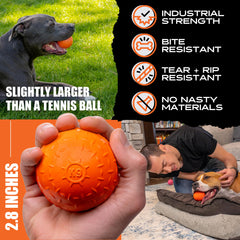 Monster K9 Beast Ball for large dogs demonstrates robust chewing action.