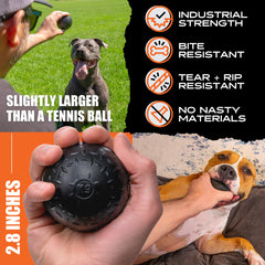Monster K9 Indestructible Dog Ball on a dish rack shows dishwasher-safe cleaning