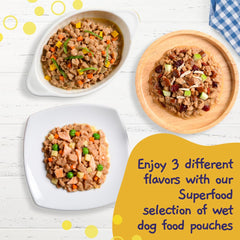 MOOCHIE soft wet dog food salmon pouch highlights zinc for a shiny coat