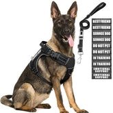 MOOGROU harness back view showing secure overall fit for large dogs during walks