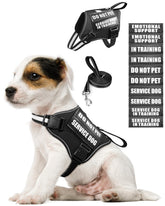 MOOGROU service dog harness set displayed on a small dog for quick on-off fitting