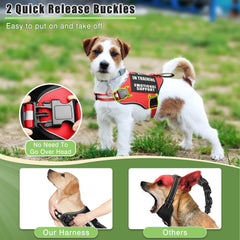 MOOGROU patches showcase ten signs to communicate training status and care instructions.