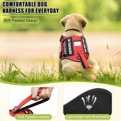 MOOGROU metal tag engraving emphasizes durable identification for everyday safety.