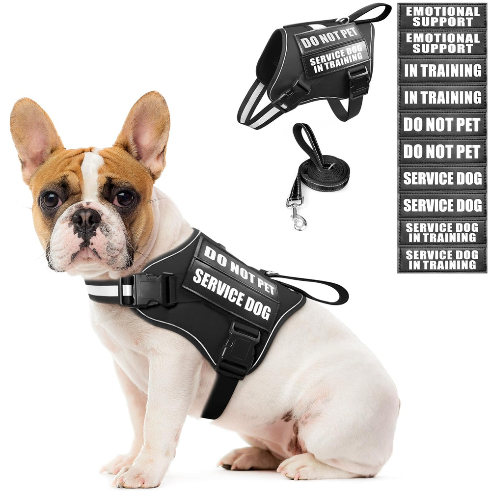 MOOGROU service dog vest front view shows secure harness for daily training