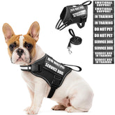 MOOGROU service dog vest front view shows secure harness for daily training