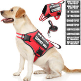 MOOGROU service dog vest front view with reflective straps for safety.