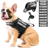 MOOGROU service dog vest harness shows secure fit for daily training.