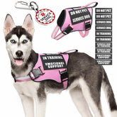 MOOGROU service dog vest and harness demonstrates easy-on design for medium dogs