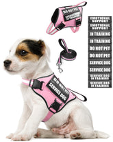 MOOGROU service dog vest pink XS worn on a small dog for daily safety