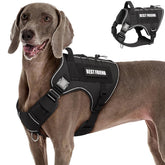 MOOGROU tactical dog harness back view with durable 1000D nylon and reflective trim