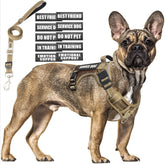 MOOGROU tactical dog harness front view showing no-pull design for training