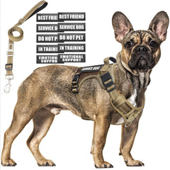 MOOGROU tactical dog harness front view showing no-pull design for training
