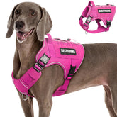 MOOGROU tactical dog harness pink XL for high visibility during outdoor walks