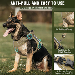 MOOGROU harness with reflective strips improves night visibility for safe walks