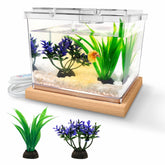 MoonOrange mini Betta tank LED base shows vivid night-view lighting for ambiance.