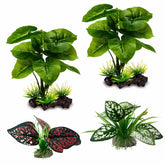 Moonorange reptile plant leaves close-up for realistic terrarium decor.
