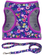 Moonpet Step-in Dog Harness Dark Flower front view highlights breathable mesh padding