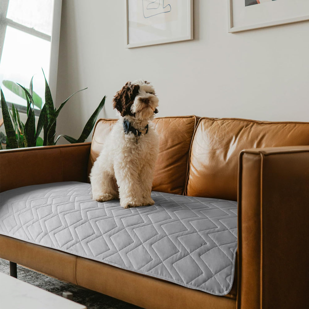 Moonsea waterproof couch cover for dogs protects upholstery during muddy play sessions.