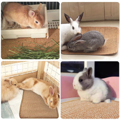 Mooydee rabbit scratching pad back view shows anti-slip latex for secure placement