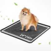 Mora Pets Pee Pad Holder 24x24 overview with raised edges for spill containment