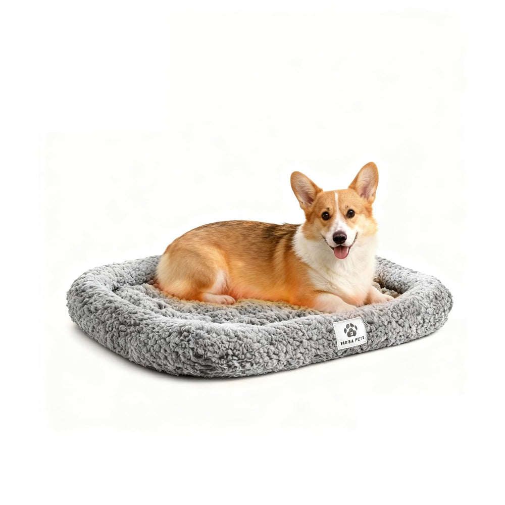 Mora Pets self-warming cat bed with thermal layer delivers warm, silent comfort for timid cats.