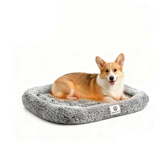 Mora Pets self-warming cat bed with thermal layer delivers warm, silent comfort for timid cats.