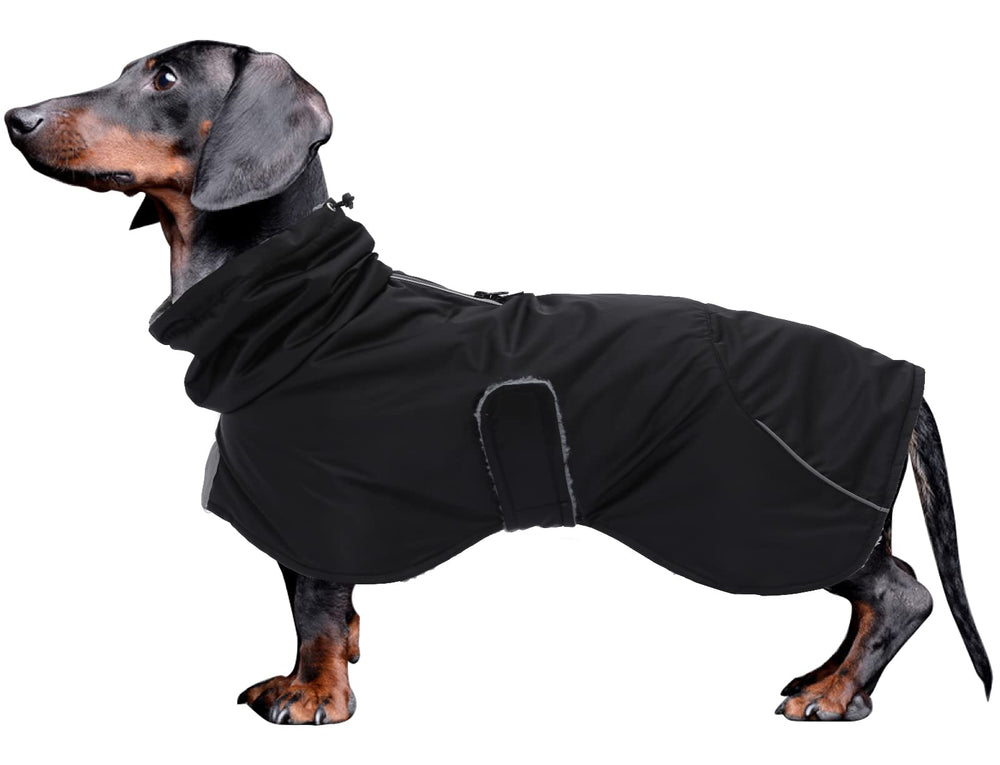 Morezi dachshund capa impermeable con forro polar, protección cálida para paseos