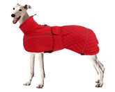 Morezi Greyhound Coat water-resistant front view for wet-weather walks