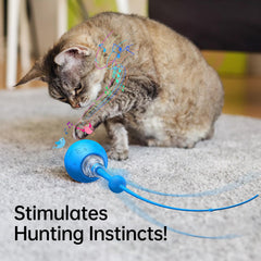 morhandisn interactive cat ball blue LED light attracts during playtime