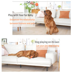 morhandisn interactive dog ball LED lights attract dogs with visual chase cues.