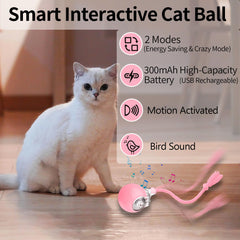 Morhandisn Speedy Tail 2.0 cat chase action captures cats' attention during play.