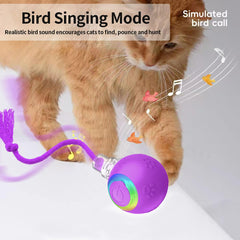 Morhandisn Speedy Tail 2.0 chirping-action shot demonstrates engaging sounds for cats.