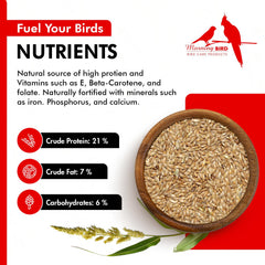 Morning Bird Canary Seed protein 13 percent label emphasizes muscle support for small birds