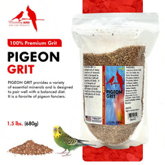 Morning Bird Pigeon Grit scoop shown for easy portioning.