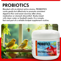 Morning Bird Probiotics dissolving in water shows quick mix into hydration.