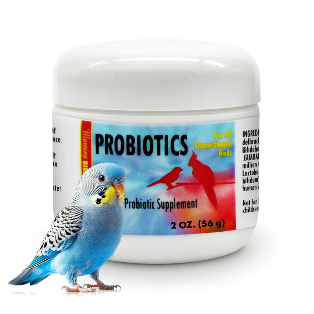 Morning Bird Probiotics powder bottle closeup highlighting gut balance support for birds.