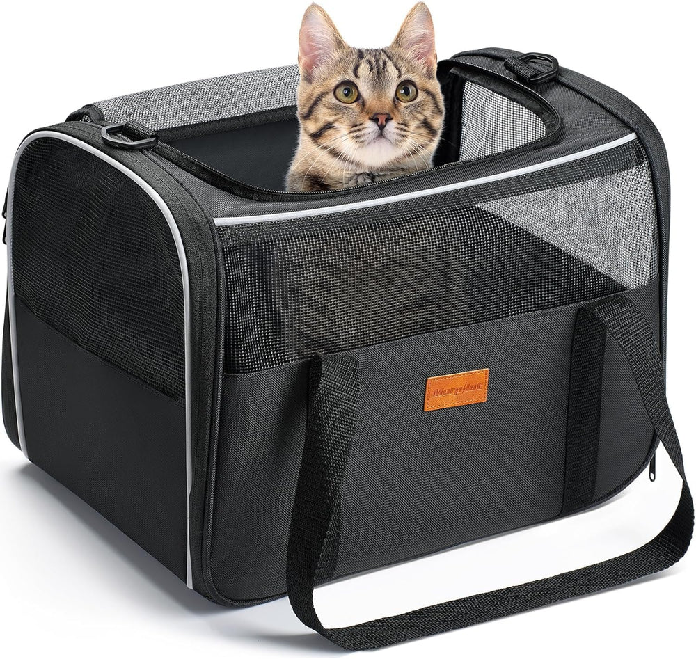 Morpilot Cat Carrier Soft demonstrates ample space for relaxation during travel