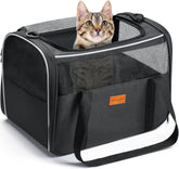 Morpilot Cat Carrier Soft demonstrates ample space for relaxation during travel