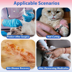MORVIGIVE cat cone collar eating and drinking allowed, enabling normal meals during recovery.