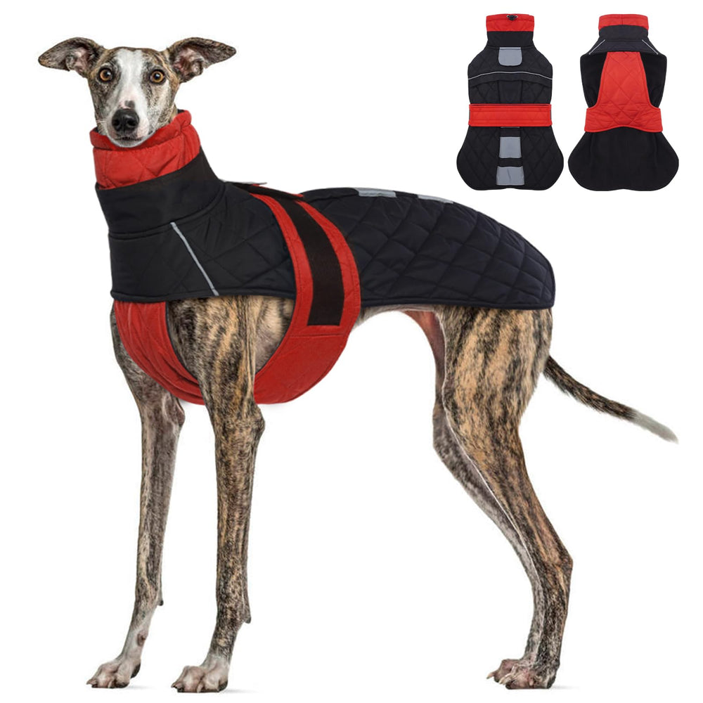 MORVIGIVE greyhound coat in red large shows waterproof outer shell for wet-day walks