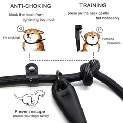 MORXIL dual-lock system keeps leash secure during training