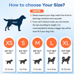 Mosamart dog diaper demonstrates fast absorption for odor control.